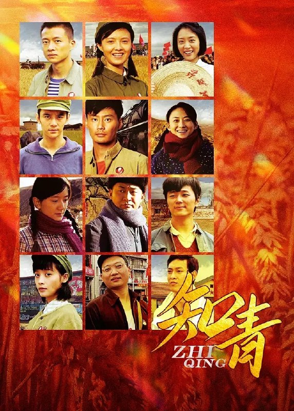 🎬 已更新：知青 (2012) 4K WEB-DL H264 AAC 2.0📌 资源信息• 体积：N/A• 标签：#知青 #WEB_DL #H264 #AAC #国产剧 #剧情 #年代 #青春 #电影📚 内容简介上世纪六七十年代，一群来自北京、上海等城市的青年响应号召，告别家人前往北大荒插队落户