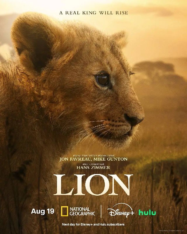 🎬 已更新：狮王：荣耀之战（2026）Disney+ 4K DV&HDR 内封官中 全 04 集📌 资源信息• 体积：17.8G• 标签：#狮王 #荣耀之战 #纪录片 #Disney #荣耀之战 Disney 官中 #剧集📚 内容简介这是一只小狮子，踏上成王之路的故事