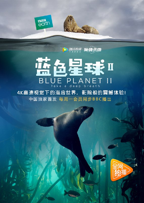 🎬 已更新：蓝色星球 第二季 Blue Planet Season 2 (2017) 4K HDR 国粤英三语 内封简繁英双语特效 SUP 字幕🗂 信息✦ 体积：71.83 GB✦ 标签：#蓝色星球 #BBC #纪录片 #电影 #4K #1080P #NAS #影库📝 内容简介 自从《蓝色星球》2001 年开播以来，我们对大海之下生命的理解被彻底颠覆了