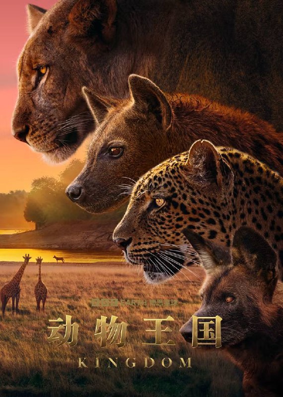 动物王国（2025）4K HQ 高码率 国英音轨 内嵌简英 S01E01-E03Size: 8G/集　　这部影片历时五年，在赞比亚一个风景壮丽的地点拍摄完成，讲述了四个动物家族——豹子、鬣狗、野狗和狮子——的生活和命运紧密相连，它们在赞比亚一个偏远而肥沃的河谷中努力站稳脚跟的故事