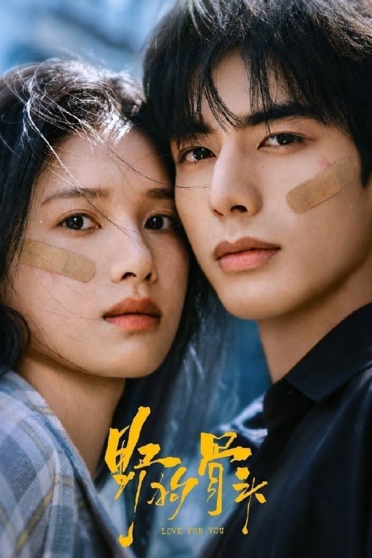 🎬 已更新：野狗骨头 (2026)【更 17 集】【4K. 高码率】【内嵌简中】【宋威龙 / 张婧仪】📌 资源信息• 体积：2.5GB/ 集• 标签：#野狗骨头 #4K #HDR #高码率 #剧集📚 内容简介20 世纪 90 年代，陈异和苗靖因父母的相识而结缘